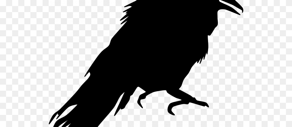 Tag For Flying Bird Image Bald Eagle Stock Illustration Crow Silhouette, Gray, Lighting, Nature, Night Free Png