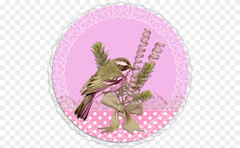 Tag Label Pink Green Flower Lace Bird Labels Princes Pink Oval, Animal, Anthus, Finch Free Png Download