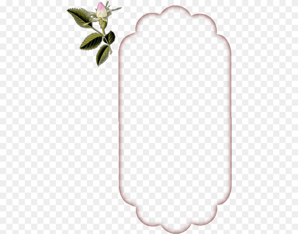 Tag Vintage Vintage Tags, Flower, Leaf, Plant, Rose Png