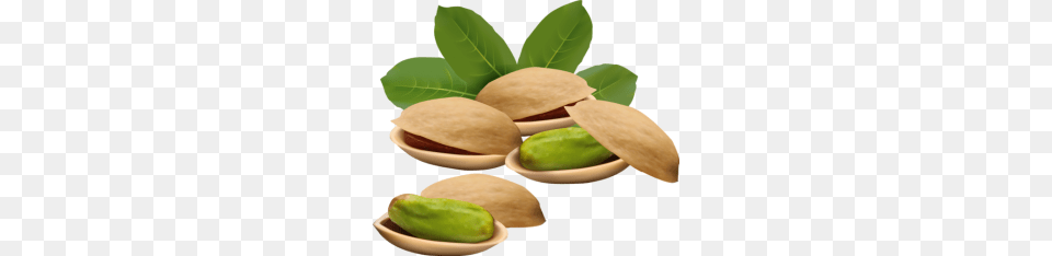 Tags, Food, Nut, Plant, Produce Png Image
