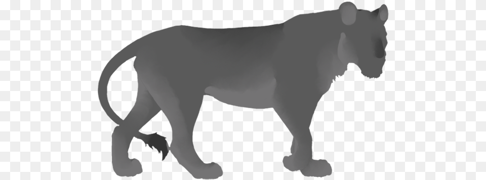 Tags Lioness Lioden Ear Tufts Onyx, Head, Person, Baby, Animal Free Transparent Png