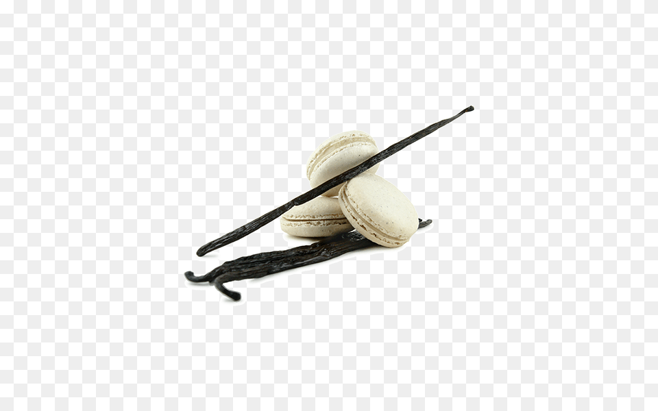 Tahitian Vanilla, Food, Sweets, Animal, Insect Png