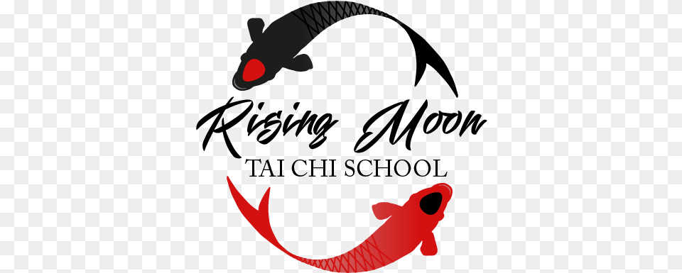 Tai Chi Basics U2014 Rising Moon Line Taichi Icon, Electronics, Hardware, Animal, Carp Png