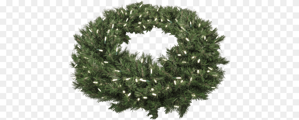 Taiga Evergreen Wreath With 300 Led Lights Wreath, Plant Png Image