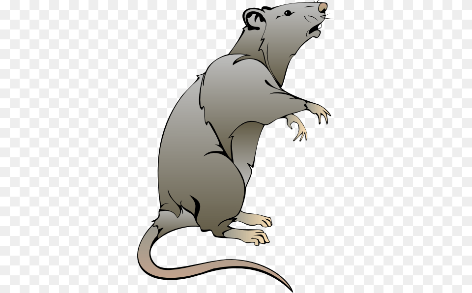 Tail Clipart Cartoon, Animal, Mammal, Rodent, Rat Png