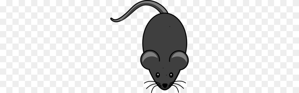 Tail Cliparts, Animal, Mammal, Face, Head Png
