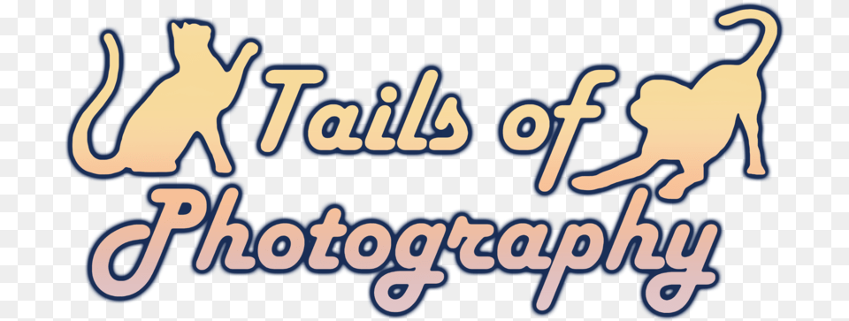 Tails Of Photography Neighborhood, Text, Logo Free Transparent Png