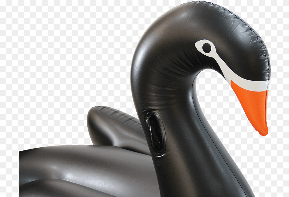 Taiwan Inflatable Pool Toy Taiwan Inflatable Pool Swan, Car, Transportation, Vehicle, Animal Png Image