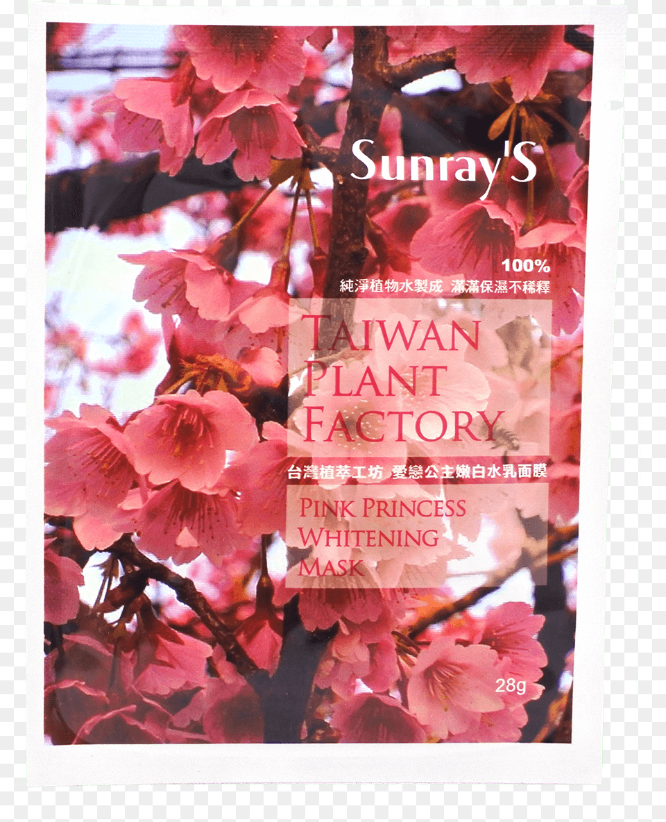 Taiwan Plant Factory Pink Princess Whitening Mask Cherry Blossom, Flower, Petal, Advertisement, Poster Png Image