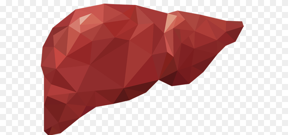 Take Care Of Your Liver, Maroon, Art, Paper Png