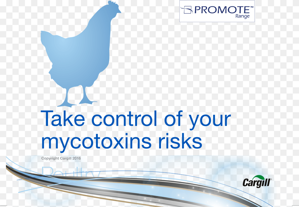 Take Control Of Mycotoxin Risks In Poultry Download Cargill, Animal, Bird, Chicken, Fowl Png Image