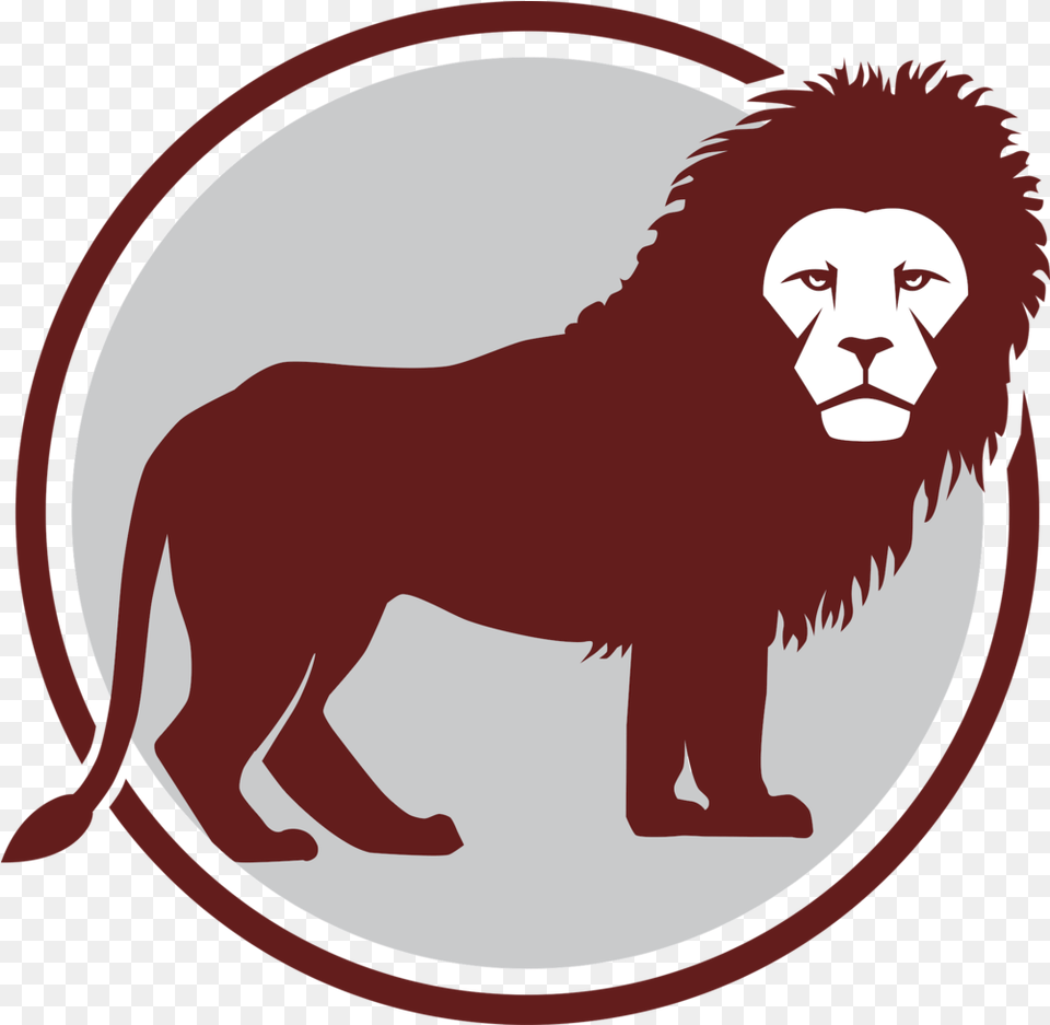 Take The Test U2014 Eagle Center For Leadership Much Loved Monkey, Animal, Lion, Mammal, Wildlife Png