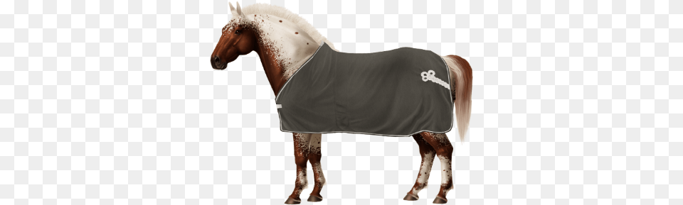 Taken On Sun Jun 17 2018 Horse, Animal, Mammal, Stallion Png