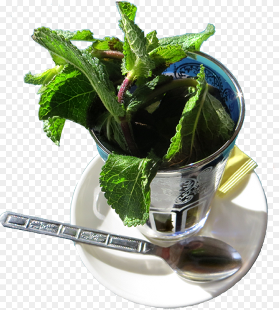 Taking Tea Logo Moroccan Tea Set, Herbs, Mint, Plant, Cutlery Free Transparent Png