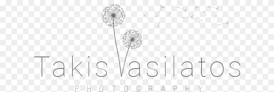 Takis Vasilattos Photography Dandelion, Flower, Plant, Text, Blackboard Free Png Download