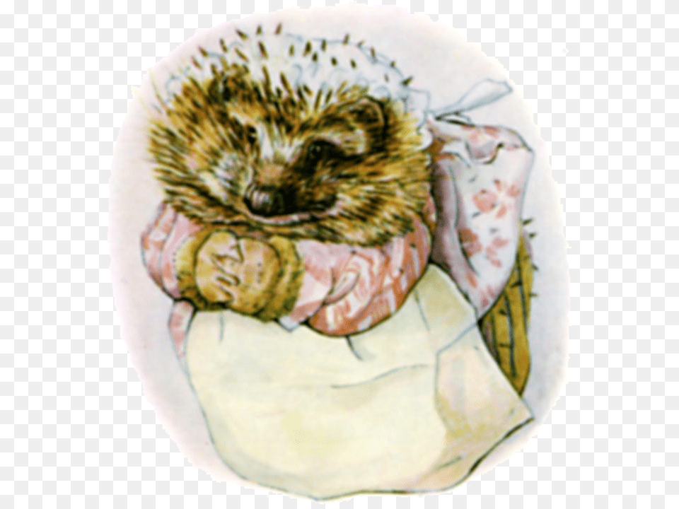 Tale Of Mrs Mrs Tiggy Winkle, Animal, Hedgehog, Mammal, Face Free Png