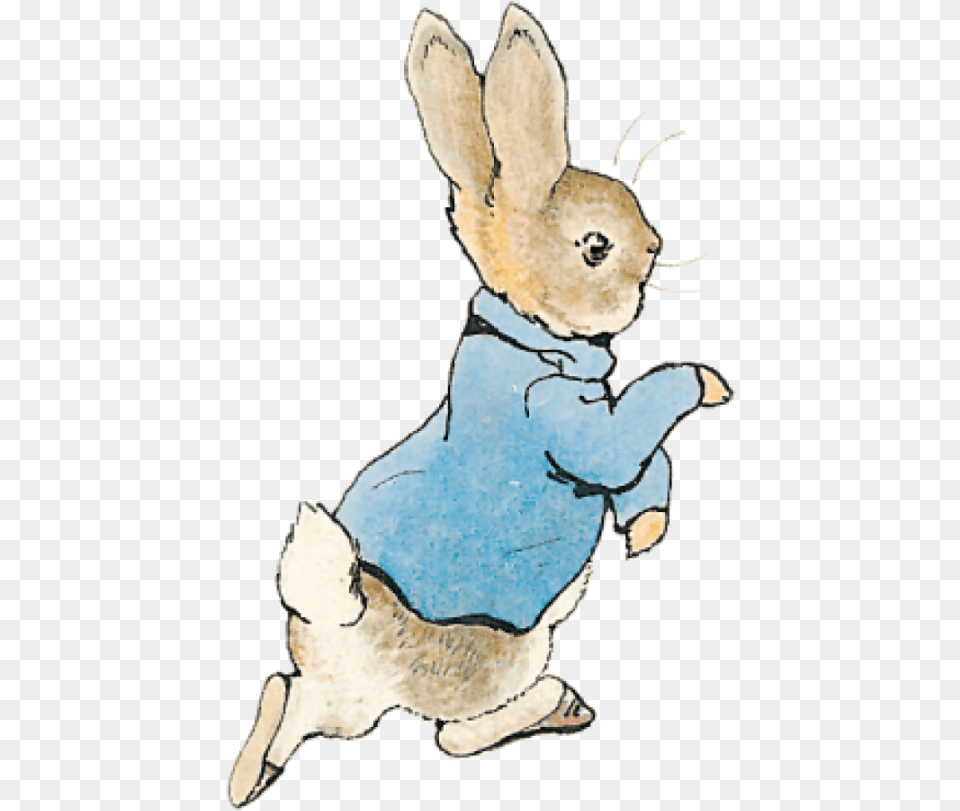 Tale Of Peter Rabbit, Animal, Mammal, Bird Png Image
