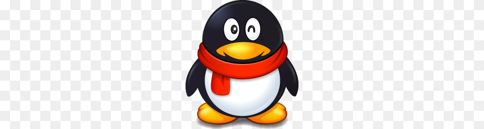 Talking With My Students On Qq Kimfucius Says, Animal, Bird, Penguin, Clothing Free Transparent Png