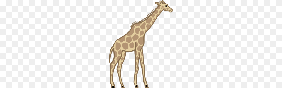 Tall Clip Art, Animal, Giraffe, Mammal, Wildlife Free Png