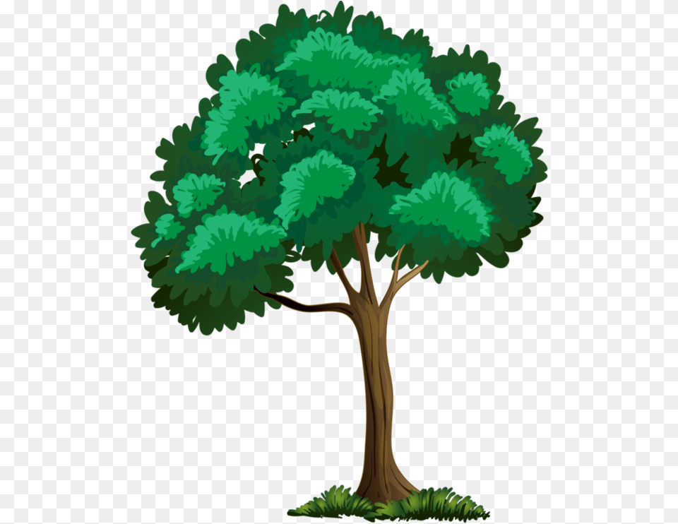 Tall Clipart Apple Tree Old Tree House Cartoon, Oak, Sycamore, Plant, Vegetation Free Png Download