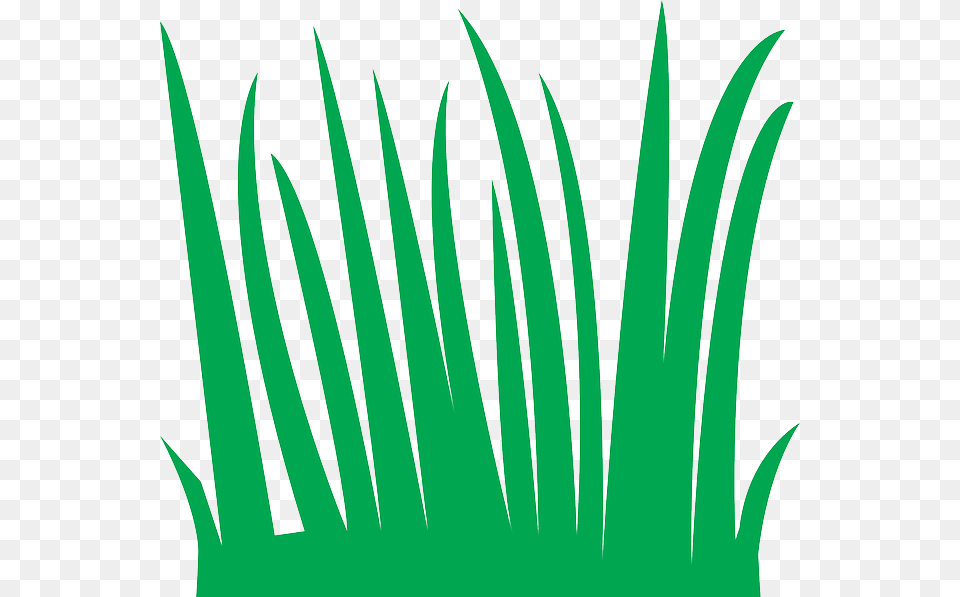 Tall Grass Clipart, Green, Leaf, Plant, Vegetation Free Png Download