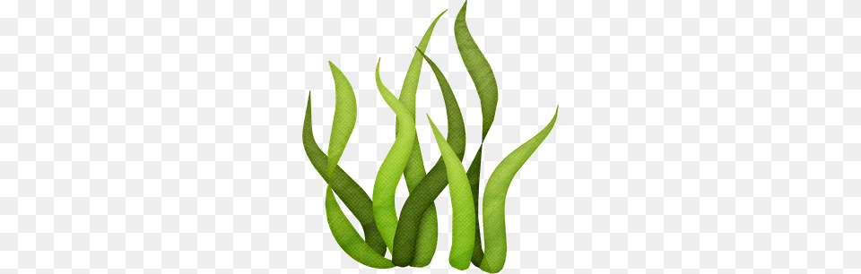 Tall Grass Silhouette Clip Art Sgblogosfera, Green, Bean, Food, Plant Free Png Download