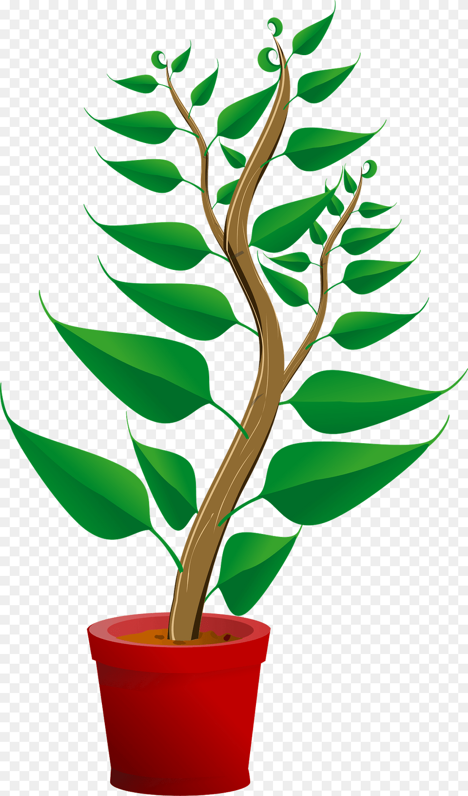 Tall Green Plant In A Red Pot Clipart, Tree, Potted Plant, Flower, Flower Arrangement Free Png Download