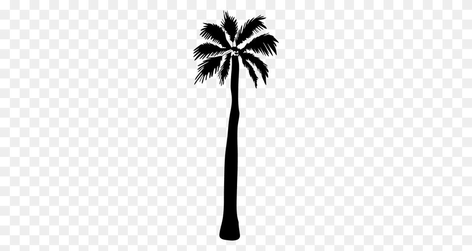 Tall Palm Tree Silhouette Illustration, Palm Tree, Plant Free Transparent Png