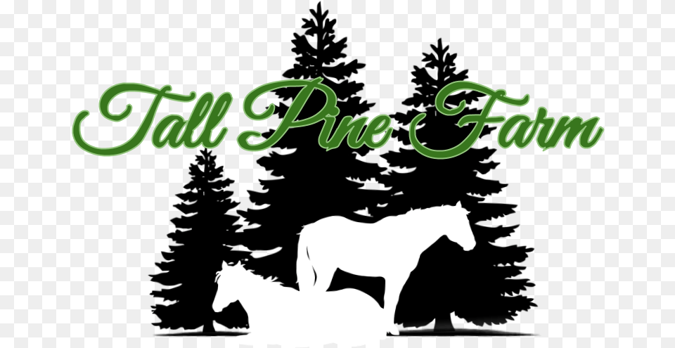Tall Pine Farm Black And White Trees, Animal, Horse, Mammal Png Image