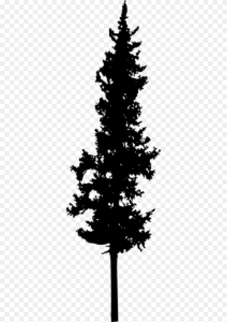 Tall Pine Tree Silhouette, Gray Free Transparent Png