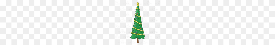 Tall Skinny Christmas Tree Clip Art, Festival, Christmas Decorations, Christmas Tree, Plant Free Png Download