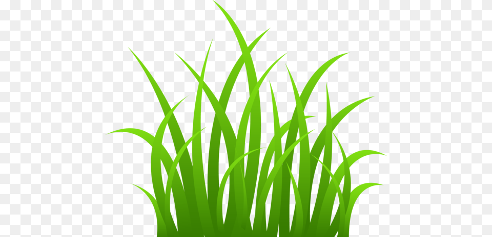 Tall Strands Of Grass Classroom Grasses Clip Art, Green, Plant, Aquatic, Water Free Png
