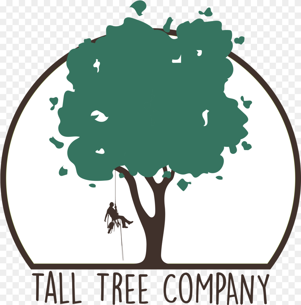 Tall Tree Co, Plant, Outdoors, Person, Face Png