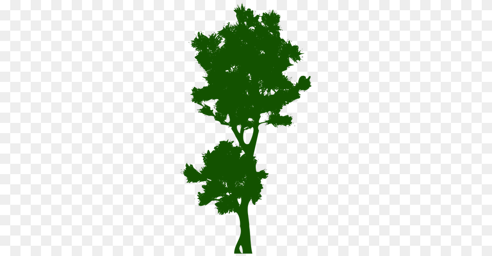 Tall Tree Image, Green, Leaf, Plant, Oak Free Png