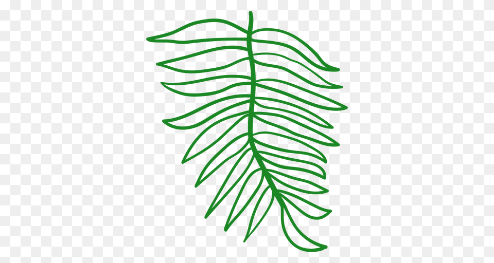 Tall Tree Silhouette Svg Green Tree Silhouette, Plant, Fern, Moss Free Png