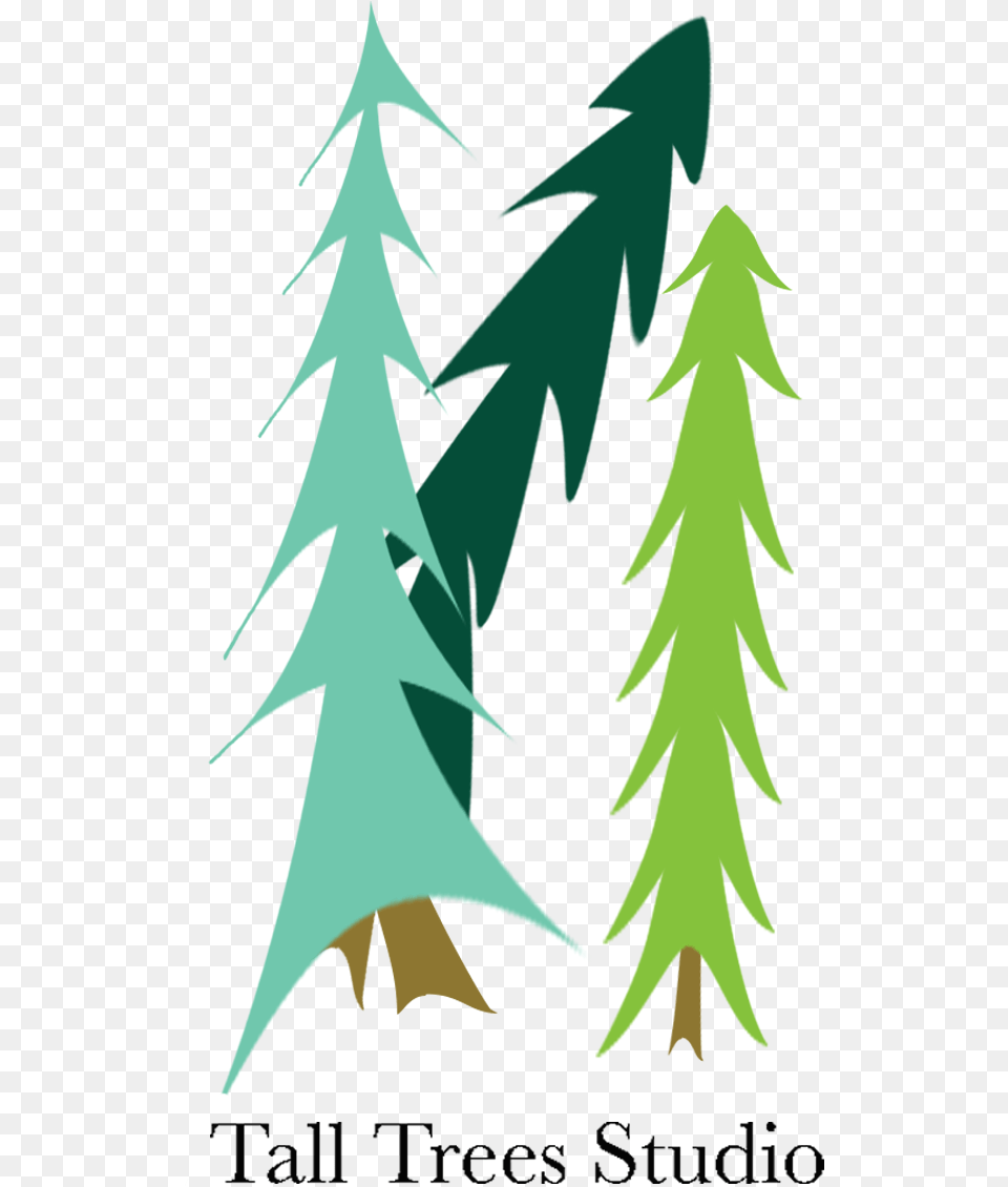 Tall Trees Studio Christmas Tree, Leaf, Plant, Person Png