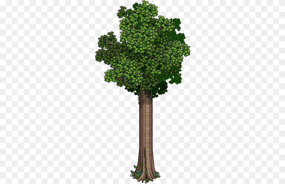 Tall Trees Transparent Clipart Heaven Or Hell Habbo, Green, Vegetation, Tree Trunk, Tree Free Png
