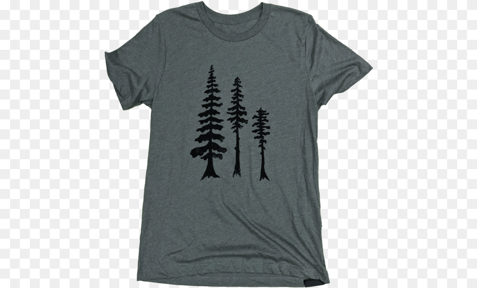 Tall Trees Unisex Tee Shortleaf Black Spruce, Clothing, T-shirt, Shirt Png