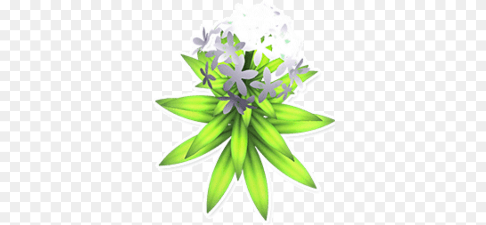 Tall White Flower Garden Paws Wiki Fandom Lily Family, Flower Bouquet, Art, Floral Design, Flower Arrangement Png Image