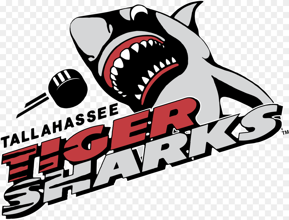 Tallahassee Tiger Sharks, Animal, Fish, Sea Life, Shark Png Image