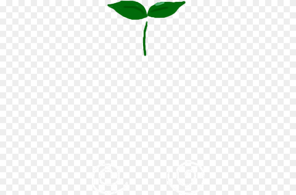 Tallito Filtro Snow Filter Kawaii, Leaf, Plant, Herbal, Herbs Png Image