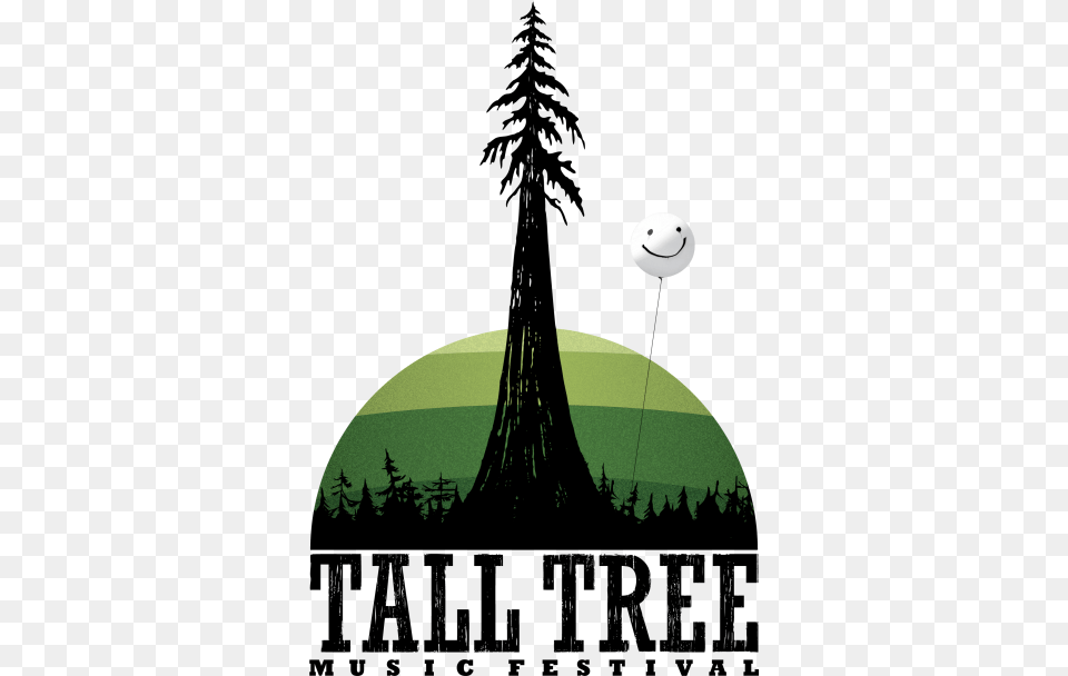 Talltree 2016 Logo Nobg2 Christmas Tree, Nature, Night, Outdoors, Plant Free Transparent Png