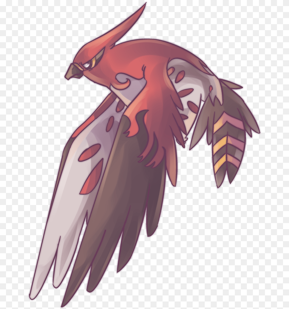 Talonflame Commission By Autobottesla Chibi Talonflame, Animal, Bird, Flying, Vulture Png Image