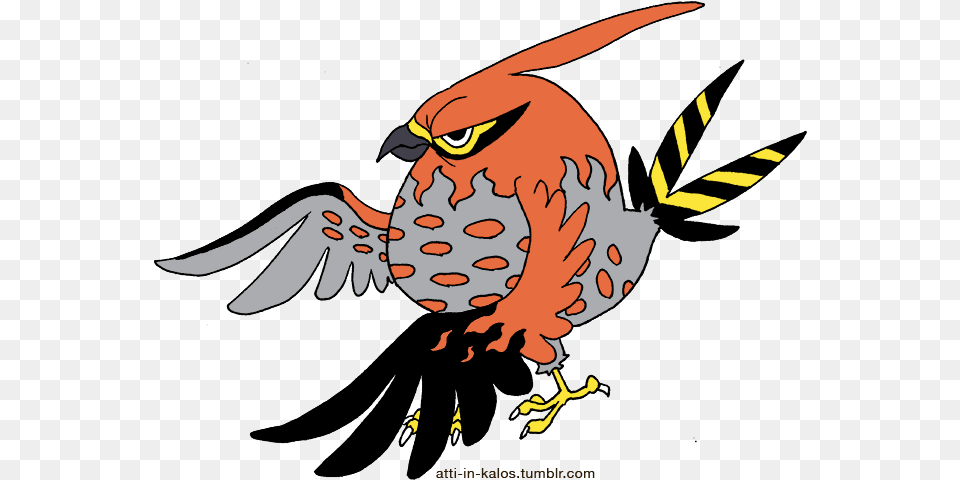 Talonflame Talonflame Is Angry, Animal, Beak, Bird, Baby Free Png