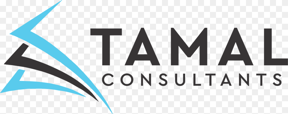 Tamal Consultants Cristina Saavedra, Logo, Text Free Png