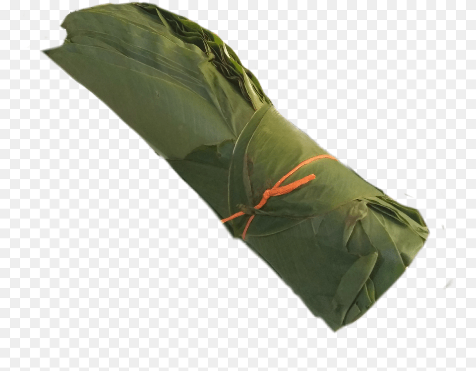 Tamal Umbrella, Plant Png