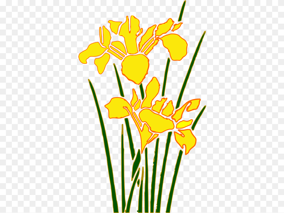 Taman Bunga Icon Flower Cartoon, Iris, Plant, Daffodil, Petal Free Transparent Png