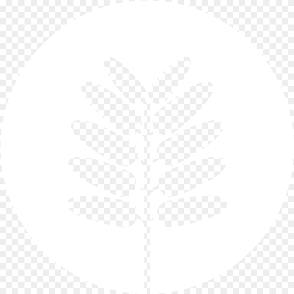 Tamarindo Communications, Stencil, Plant, Leaf, Outdoors Free Transparent Png
