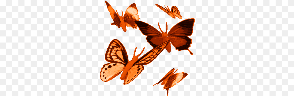 Tammy Lee Butterfly Gif Images Image Glitter Animated Butterflies, Animal, Insect, Invertebrate Free Png Download