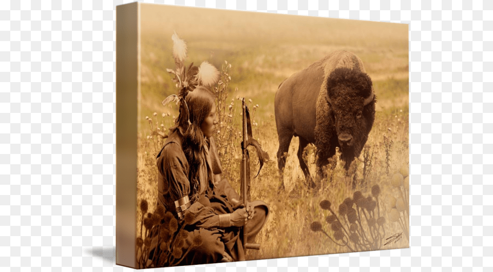 Tampa Bay Image Is A Composite Of Photographs And Native American Bison Art, Person, Animal, Buffalo, Mammal Free Png Download